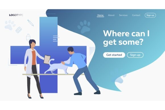 Cat Owner Visiting Veterinarian in Vet C