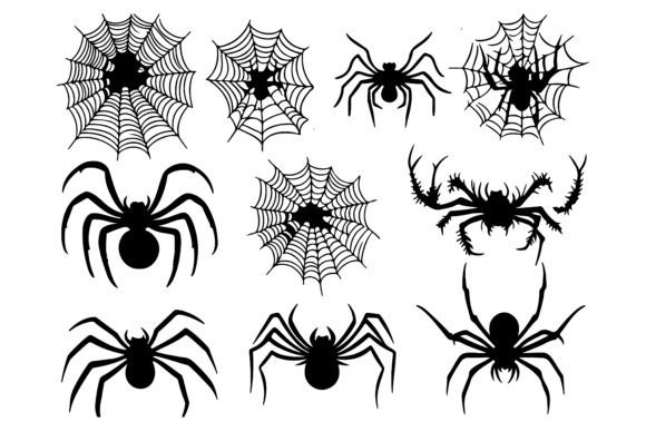 Spider Web Vector and Cobweb Decoration: A Practical Guide for Creators